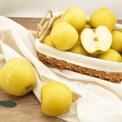 착한식탁 가정용 시나노골드 사과 중대과 10kg (1개)