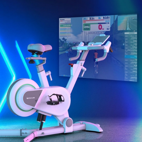 이고진 스마트 ERG 스핀바이크 MTB308A (일반구매)_이미지