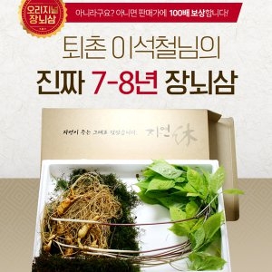 장보리 명품 장뇌삼 7-8년근 5뿌리