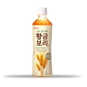 롯데칠성음료 오늘의차 황금보리 500ml 6입_이미지