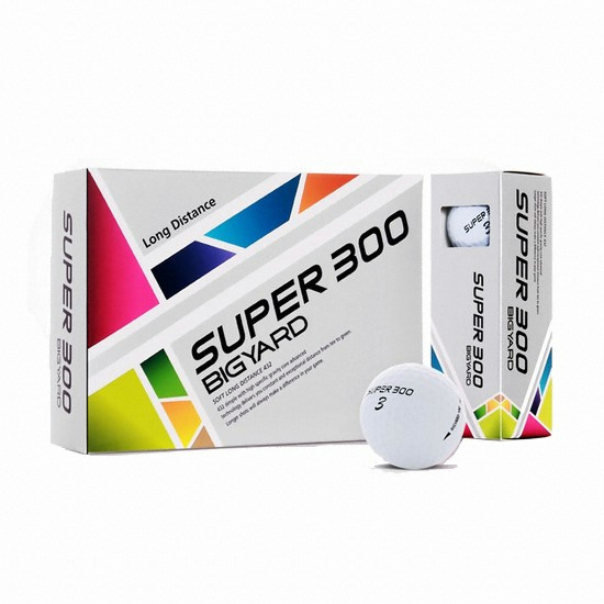 ��ߵ� 2017 ����300