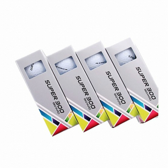 ��ߵ� 2017 ����300