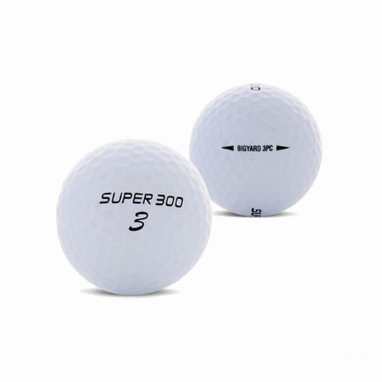 ��ߵ� 2017 ����300