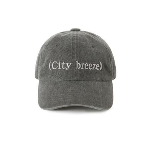 시티브리즈 피그먼트 뮤트 로고 자수 볼캡 BB CTH4CP04 CH BL_이미지