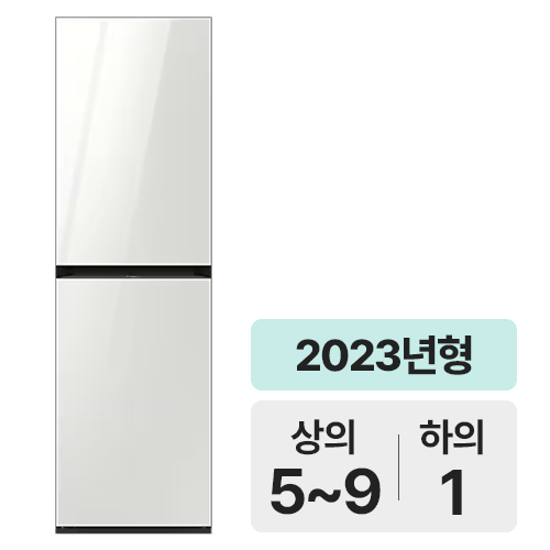 삼성전자 비스포크 에어드레서 DF24CB9600WR (일반구매)