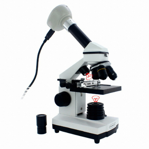 C&A Scientific MSK-88M 디지털 듀오 생물현미경