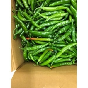 맛있게매운 국내산 청양고추 상 5kg/요리용 가정용