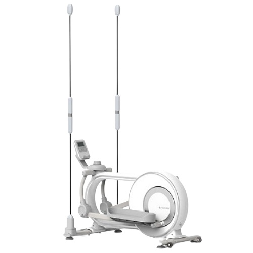 이고진  FX 일립티컬 플렉시바