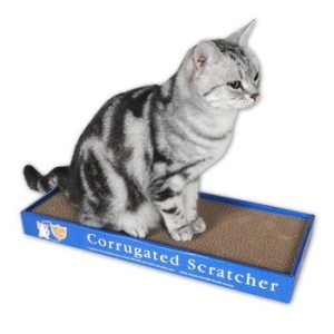 위드캣 평판 스크래쳐이미지입니다. 누르면 해당 게시물로 새창이동합니다.