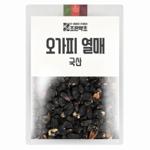  조은약초 가시오가피 열매