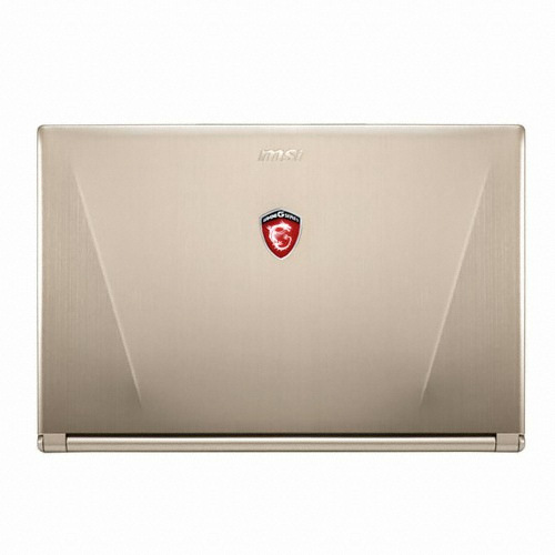 MSI GS60-2QD Gold Ghost (1TB + SSD 120GB)_이미지