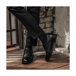 BSQT ���� F10 �����ӽ� 4Ȧ ������ ���� ���� 3.6cm