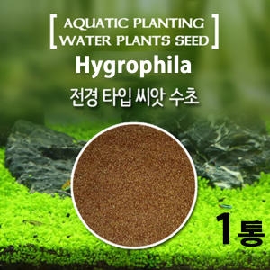 그린오시스 씨앗수초 전경타입  10g/초보자/구피/어항