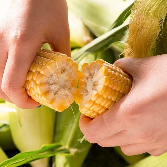 ��Ź���ִ»� ���� �ʴ������ ��ǰ 14cm���� 10����