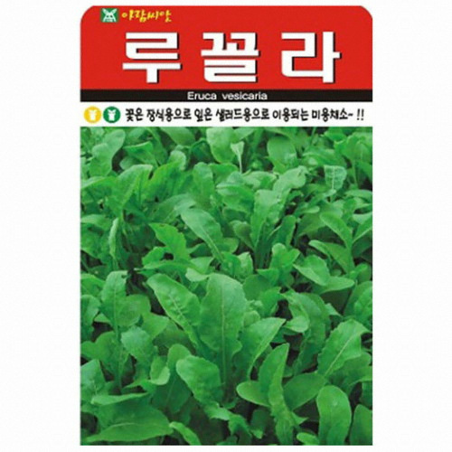 아람종묘 루꼴라 로켓샐러드 씨앗