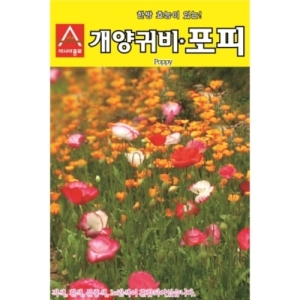 아시아종묘 꽃종자씨앗 개양귀비 포피 혼합 1kg
