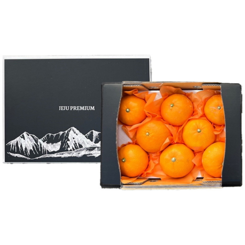 온도씨 제주 황금향 선물세트 10~12과 내외 소과 1.5kg (1개)_이미지