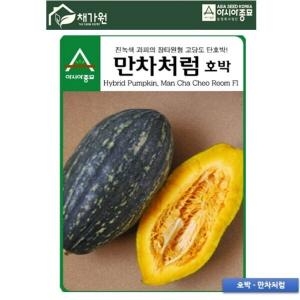 아시아종묘 단호박씨앗종자 만차처럼 10립_이미지