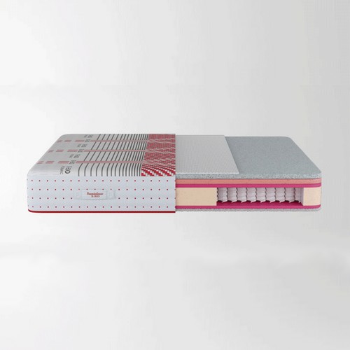 �ο������� X-BIO ����� ��Ʈ���� EK