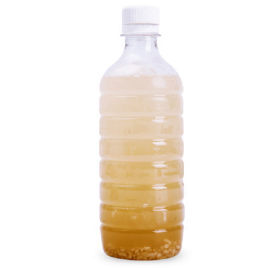 한양전통식품 얼음동동 식혜 무라벨 500ml (10개)
