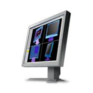 EIZO FlexScan L985EX