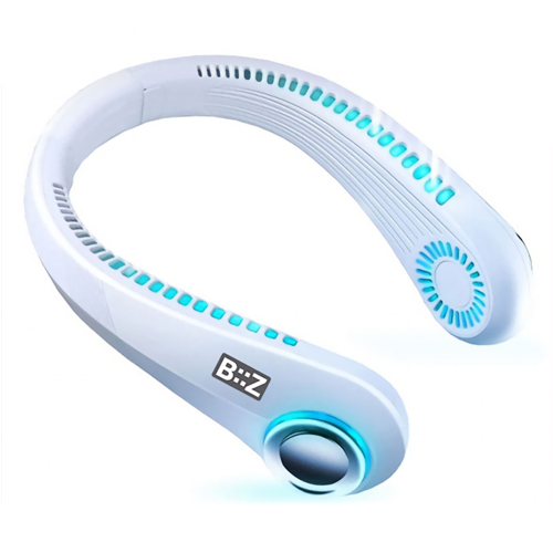 �������ڸ��� BIIZ BZ-FL20