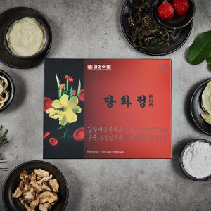 오투바이오 일양약품 당화정 600mg x 90캡슐 54g