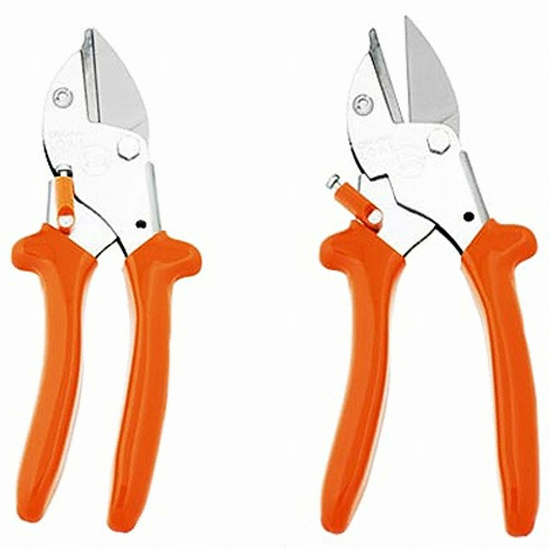 �ں� �غ�Ÿ�� �������� 5.127