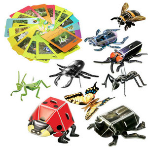 스콜라스 교과서에 나오는 한국의 곤충들_이미지