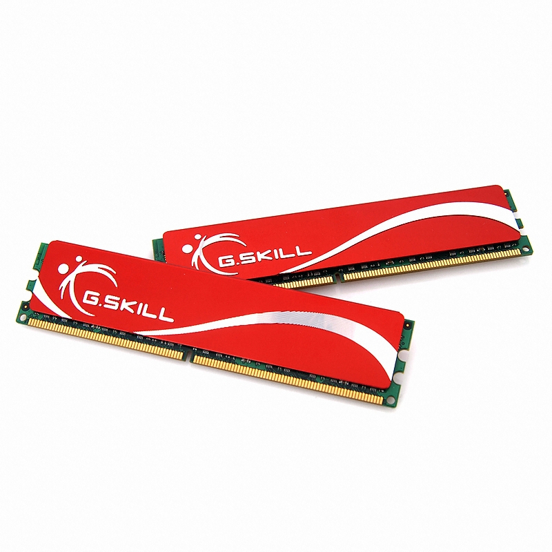 G.SKILL DDR2-1066 NQ 패키지 티뮤 (4GB(2Gx2))_이미지