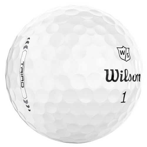 ���� Ʈ���ֵ̾�