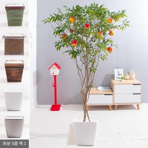 플라워트리 라인-석류나무화분set 210cm  조화  FREOFT이미지입니다. 누르면 해당 게시물로 새창이동합니다.