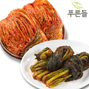 푸른들 전라남도 함평김치 포기김치 2kg + 여수갓김치 2kg
