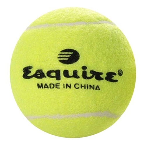 에스콰이어 테니스 연습공