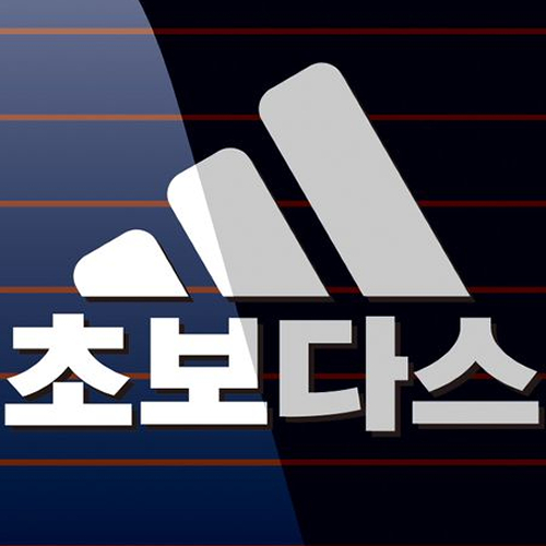 캐찹 자동차스티커 패러디 초보다스 17