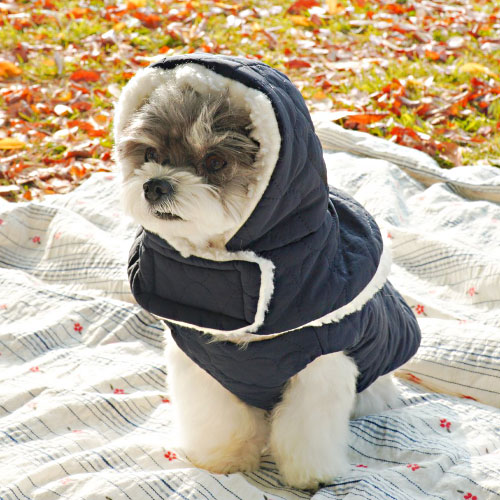 초코펫하우스 산책왕 패딩 귀돌이 모자 세트 (M)_이미지