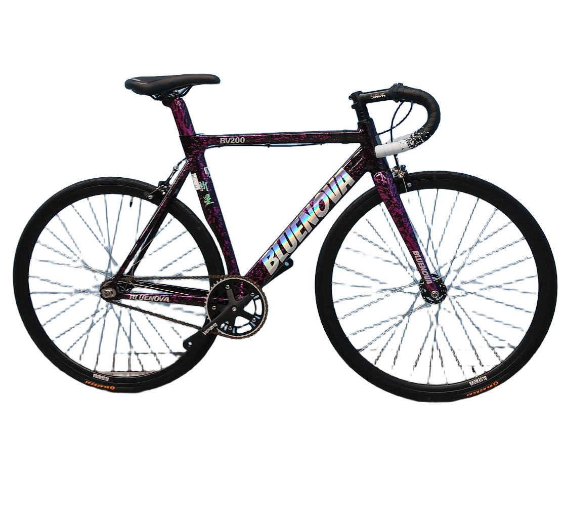 코리아 블루노바 BV200