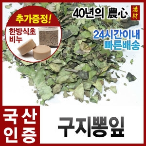  자애인 국산 꾸지뽕 잎 300g
