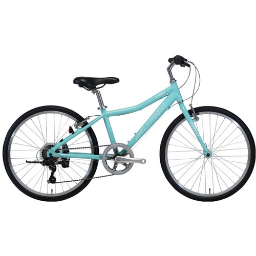 알톤스포츠 퓨리어스 22 (2023년형)