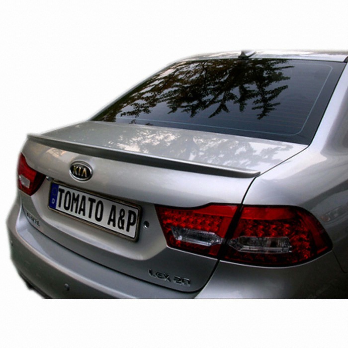 토마토A&P 로체 이노베이션 립스포일러_이미지