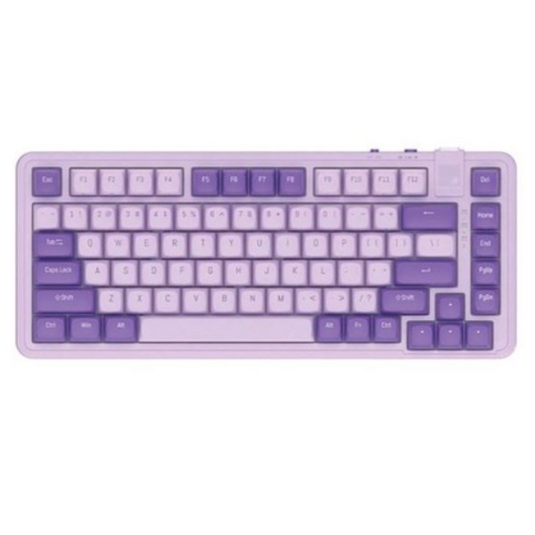 레드빈 더베러 A1 유무선 기계식 블루베리스무디 (라임축)_이미지