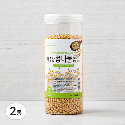제주산 콩나물콩 풍산콩