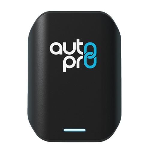 ����ư ��������