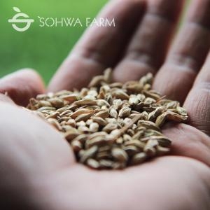 ��ȭ���� �Ѻ��� 1kg �������� ���� ����