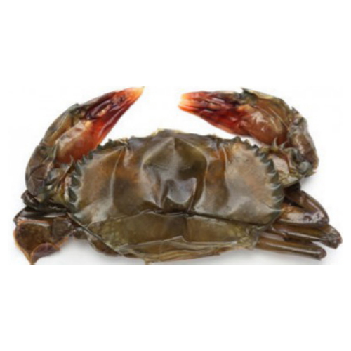 다인푸드 소프트 쉘 크랩 100/120 8~9개(마리) 900g (1개)_이미지