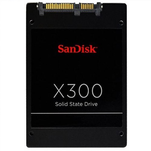 Sandisk X300 �߰�