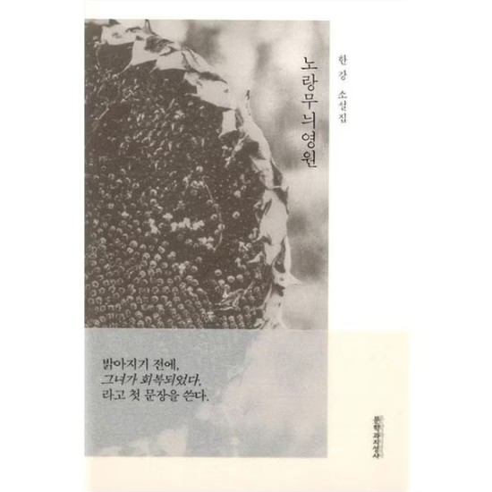 문학과지성사 노랑무늬영원 - 한강_이미지