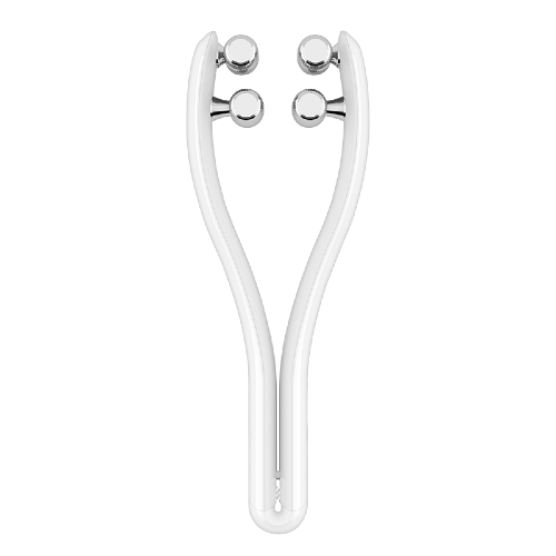 혼바디 EMS 페이스 빅 롤러 CB0816