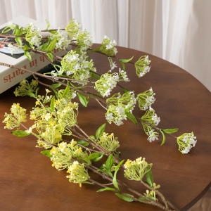 �ö��Ʈ�� ǻ���ȭ���� 73cm ��ȭ �ɲ��� ���׸���