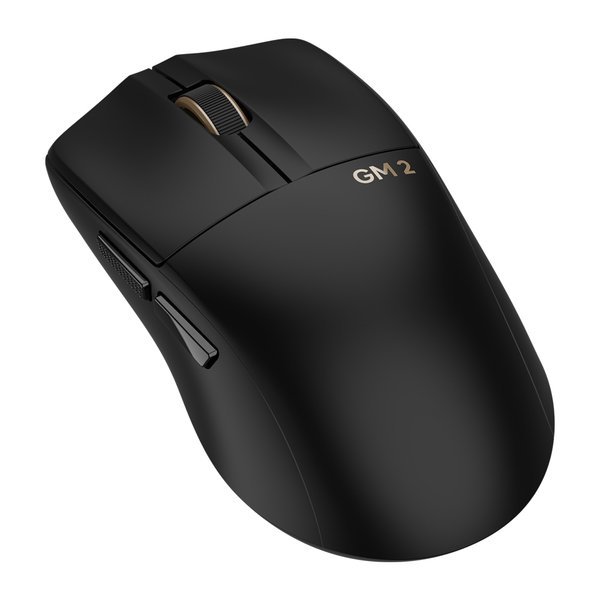 GM2 유무선